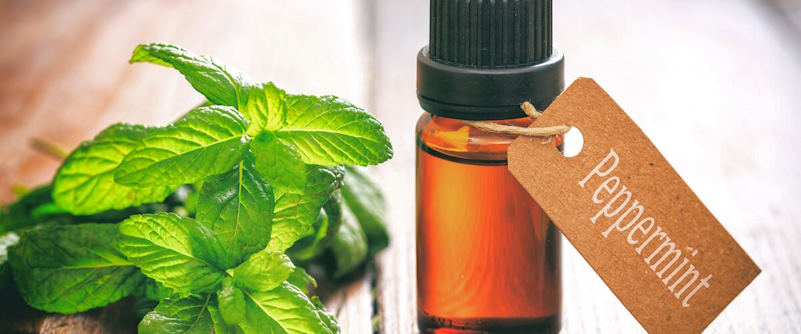 peppermint oil